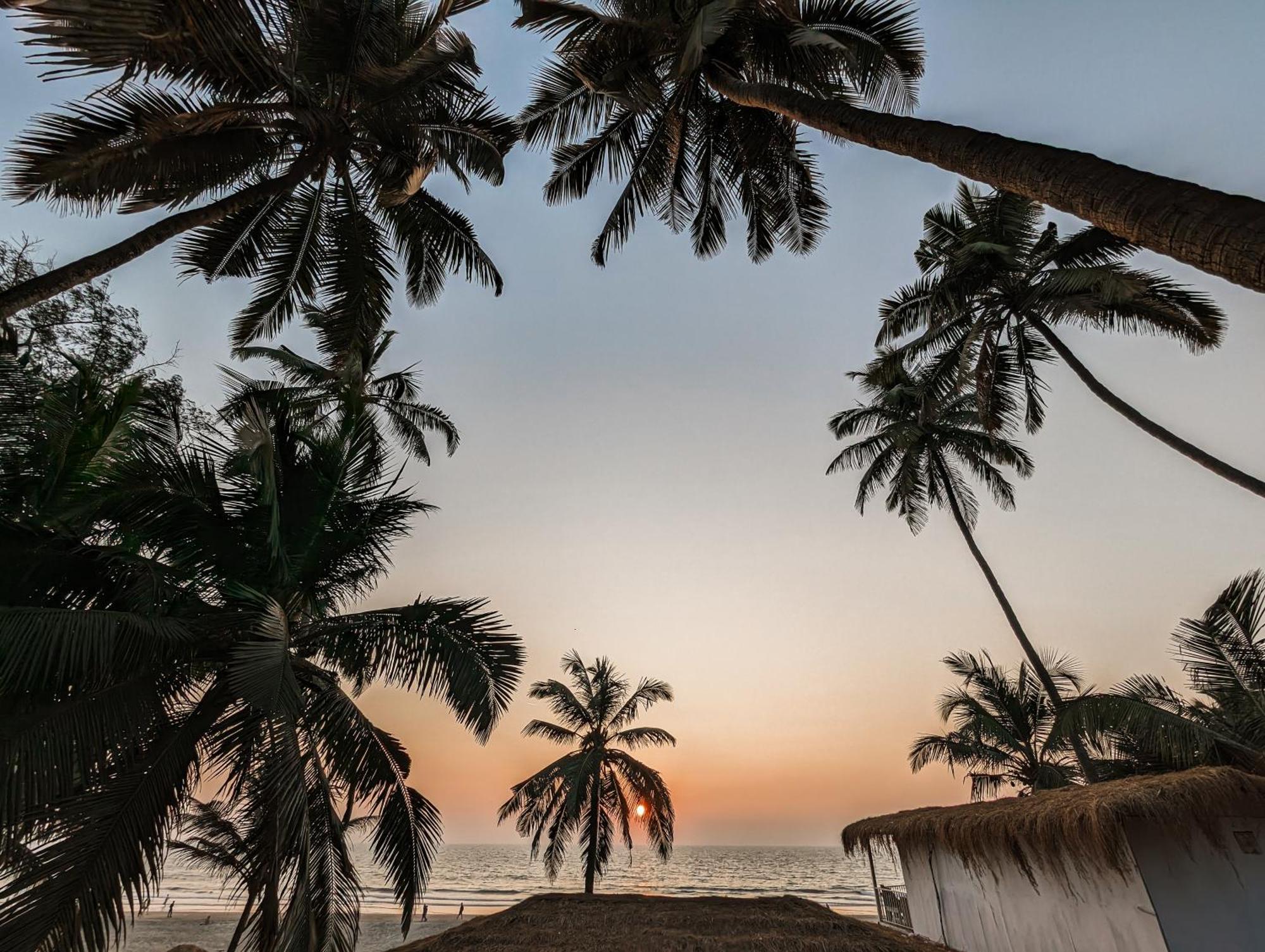 Aqua Beach Stays Ashwem Mandrem Ngoại thất bức ảnh