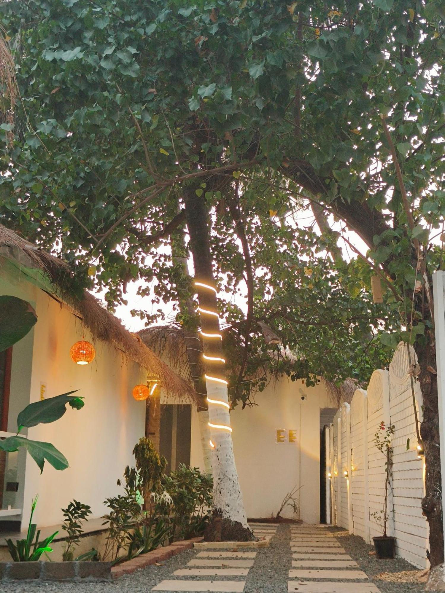 Aqua Beach Stays Ashwem Mandrem Ngoại thất bức ảnh